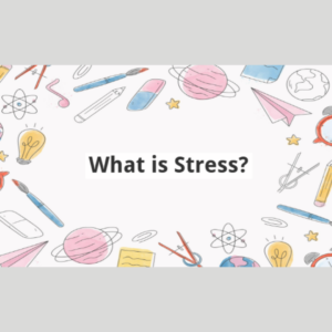 What is Stress?